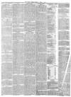York Herald Friday 02 June 1876 Page 7