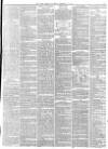 York Herald Saturday 17 February 1877 Page 13
