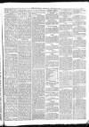 York Herald Wednesday 14 January 1880 Page 5