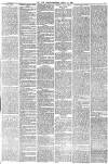 York Herald Saturday 10 March 1883 Page 15