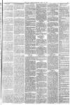 York Herald Saturday 19 April 1884 Page 15