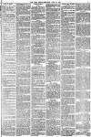 York Herald Saturday 21 June 1884 Page 15