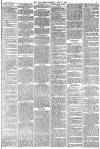 York Herald Saturday 28 June 1884 Page 15