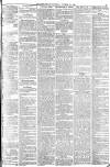 York Herald Saturday 25 October 1884 Page 19