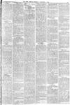 York Herald Saturday 01 November 1884 Page 13