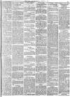 York Herald Friday 08 March 1889 Page 5