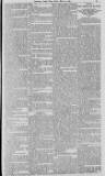 Manchester Times Friday 24 March 1899 Page 11