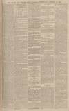 Exeter and Plymouth Gazette Wednesday 14 January 1891 Page 5