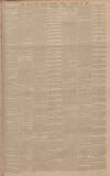 Exeter and Plymouth Gazette Friday 29 November 1895 Page 3