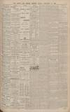 Exeter and Plymouth Gazette Friday 13 February 1903 Page 9