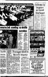 Staffordshire Sentinel Friday 06 April 1990 Page 29