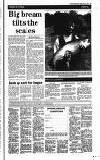 Staffordshire Sentinel Monday 08 June 1992 Page 17