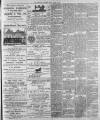 Luton Times and Advertiser Friday 19 January 1894 Page 3
