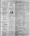 Luton Times and Advertiser Friday 23 November 1894 Page 3
