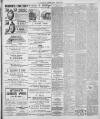 Luton Times and Advertiser Friday 06 January 1899 Page 3