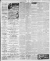 Luton Times and Advertiser Friday 04 January 1901 Page 3