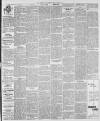 Luton Times and Advertiser Friday 02 August 1901 Page 7