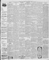 Luton Times and Advertiser Friday 21 November 1902 Page 7
