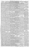 The Scotsman Thursday 16 November 1876 Page 5