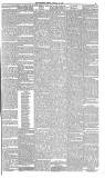 The Scotsman Friday 19 January 1877 Page 3