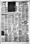 The Scotsman Thursday 29 April 1982 Page 19
