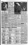 The Scotsman Saturday 27 June 1987 Page 15