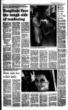 The Scotsman Friday 01 April 1988 Page 13