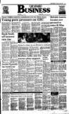 The Scotsman Saturday 22 April 1989 Page 11