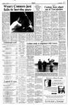 The Scotsman Saturday 15 June 1991 Page 17