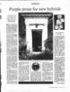 The Scotsman Saturday 26 June 1993 Page 53