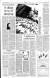 The Scotsman Thursday 16 December 1993 Page 15