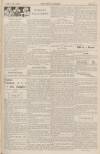 Daily Mirror Tuesday 24 November 1903 Page 13