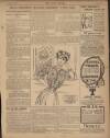 Daily Mirror Friday 19 May 1905 Page 13