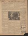 Daily Mirror Saturday 08 February 1908 Page 13