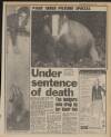 Daily Mirror Saturday 07 April 1984 Page 3