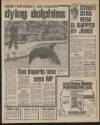 Daily Mirror Thursday 09 August 1984 Page 5