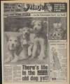 Daily Mirror Saturday 15 September 1984 Page 3