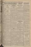 Dundee Evening Telegraph Wednesday 29 October 1924 Page 11