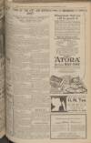 Dundee Evening Telegraph Thursday 06 November 1924 Page 5