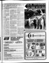Dundee Evening Telegraph Tuesday 19 January 1988 Page 35