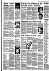 Dundee Courier Saturday 20 December 1986 Page 13