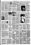 Dundee Courier Friday 08 April 1988 Page 17