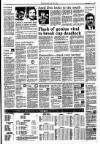 Dundee Courier Tuesday 12 April 1988 Page 13