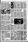 Dundee Courier Friday 22 April 1988 Page 19