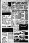 Dundee Courier Thursday 16 April 1992 Page 15
