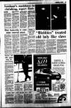 Dundee Courier Saturday 12 August 1995 Page 13