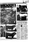 Aberdeen Press and Journal Saturday 10 February 1990 Page 28