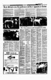 Aberdeen Press and Journal Monday 16 July 1990 Page 23
