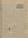 Dundee Evening Post Tuesday 17 January 1905 Page 5