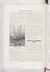 War Office Times and Naval Review Friday 15 August 1913 Page 24